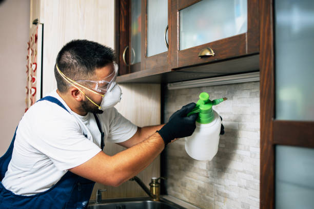 Best Best Pest Control Companies  in Whitney, SC