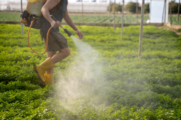 Best Ant Control Services  in Whitney, SC