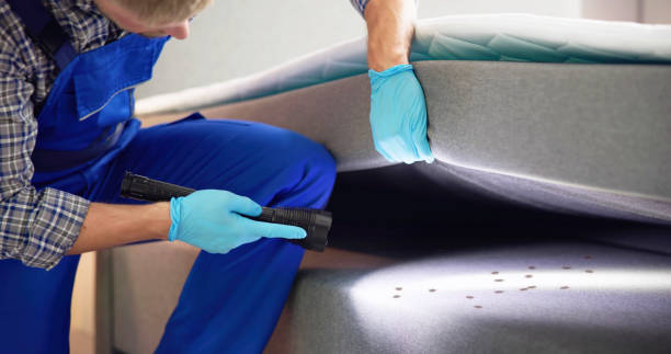 Best Exterminator Services  in Whitney, SC