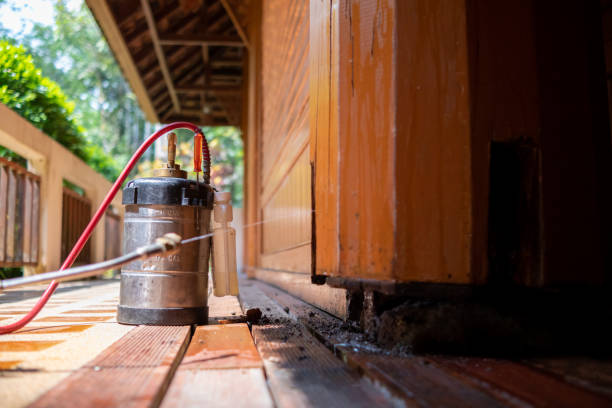 Best Best Pest Control Companies  in Whitney, SC