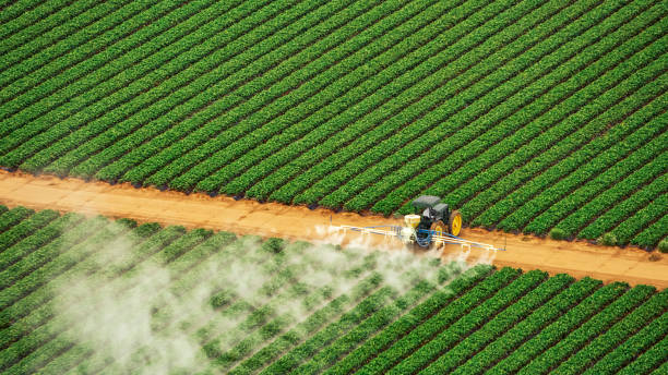 Best Best Pest Control Companies  in Whitney, SC