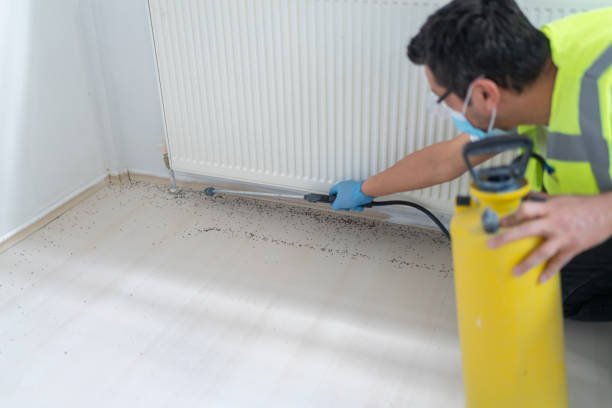 Best Flea Control Services  in Whitney, SC